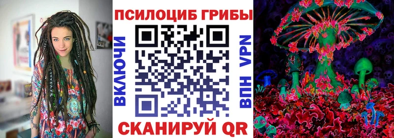 гидра ТОР  Томилино  Галлюциногенные грибы ЛСД 